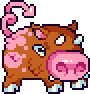 Boar
