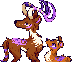 Deer
