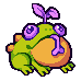 Toad